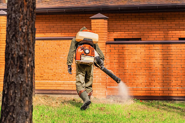Trusted Termite Control service in Lakeland, TN - Nex Pest Control